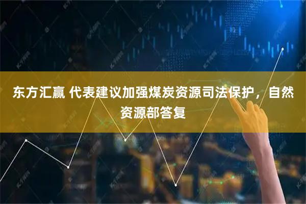 东方汇赢 代表建议加强煤炭资源司法保护，自然资源部答复