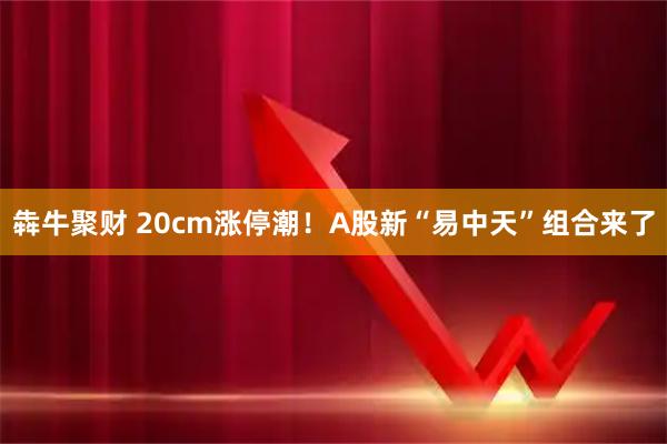 犇牛聚财 20cm涨停潮！A股新“易中天”组合来了